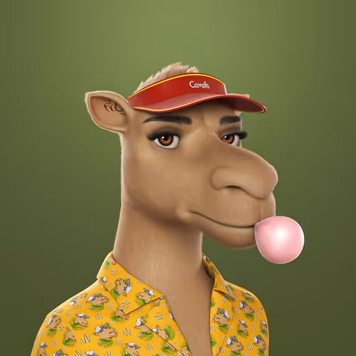 3dcamels