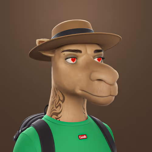 3dcamels