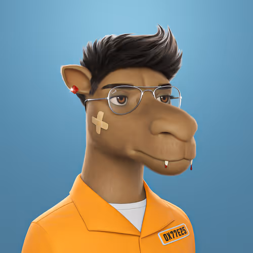3dcamels