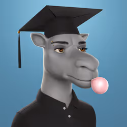 2428