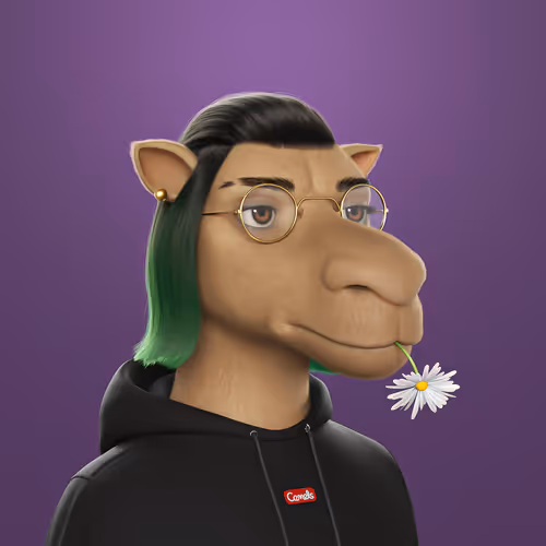 3dcamels