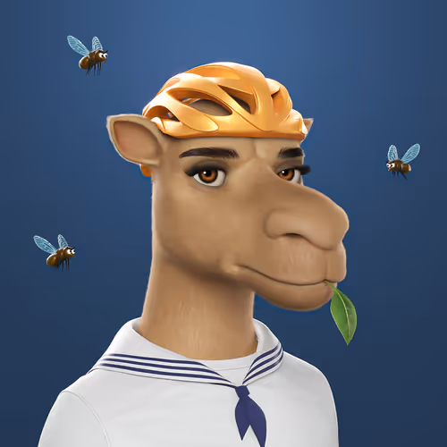 3dcamels