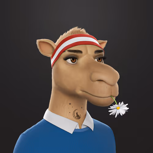 3dcamels