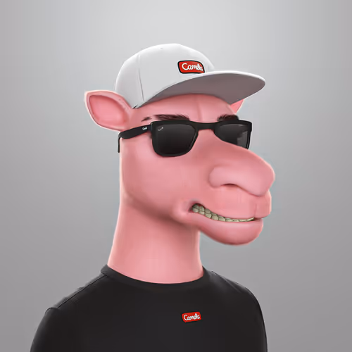3dcamels