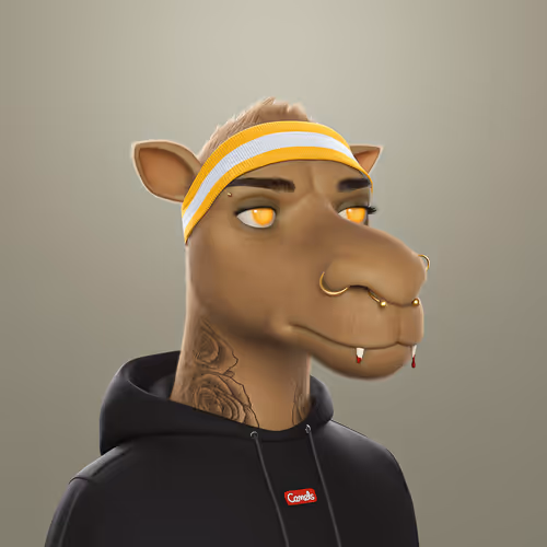 3dcamels