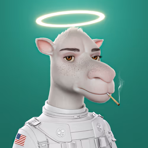 3dcamels