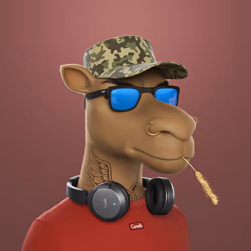 3dcamels