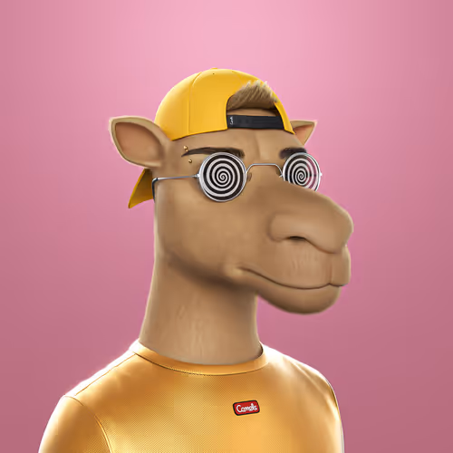 3dcamels