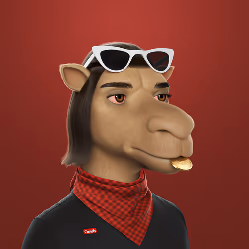 3dcamels