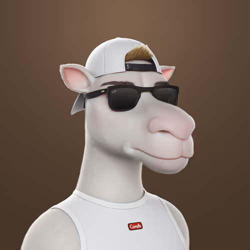 3dcamels