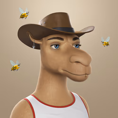 3dcamels