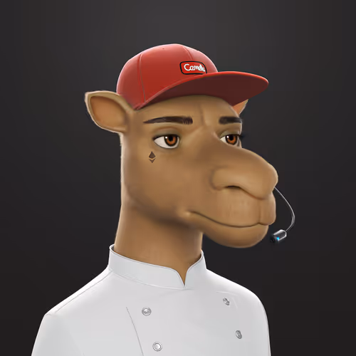 3dcamels