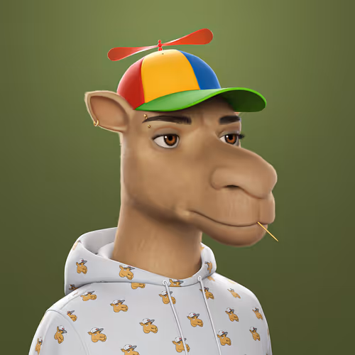3dcamels