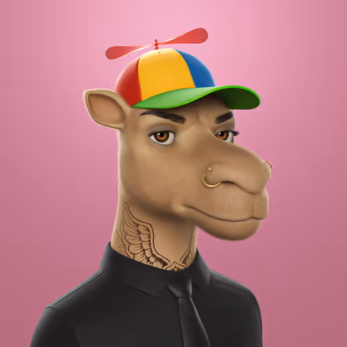 3dcamels