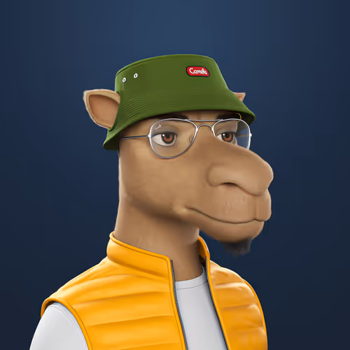 Camel 3D #1034