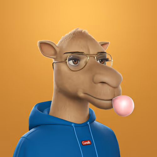 3dcamels