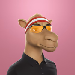 Camel 3D #2822