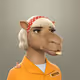 21