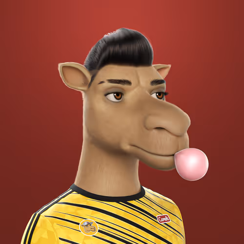 3dcamels
