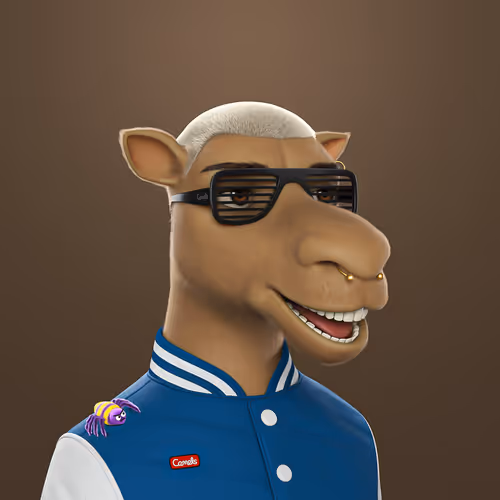 3dcamels