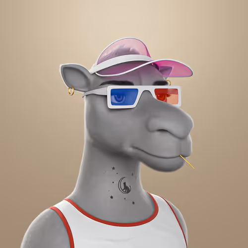 3dcamels