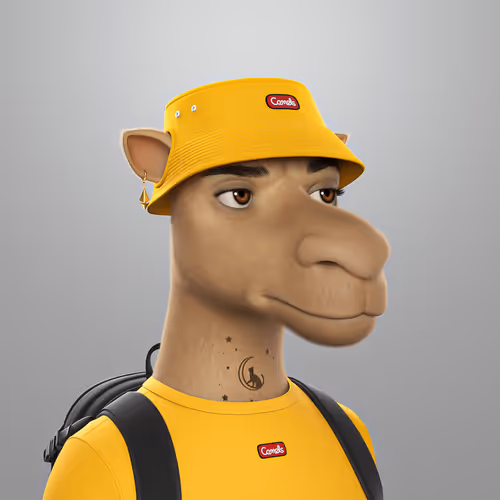 3dcamels