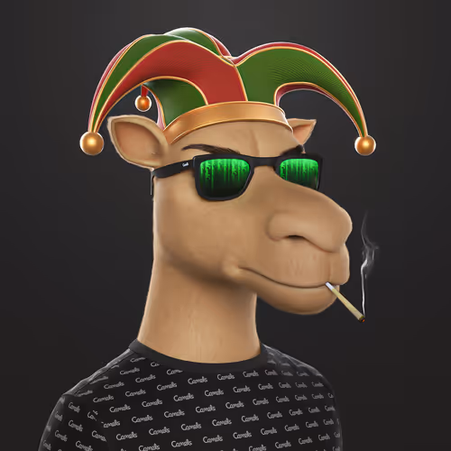 3dcamels
