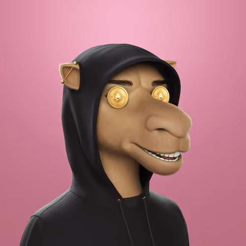 3dcamels