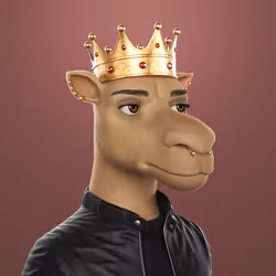 202
