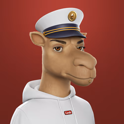 3dcamels