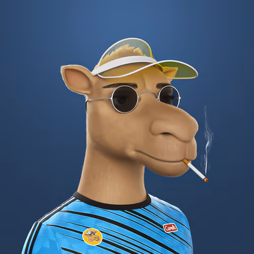 3dcamels