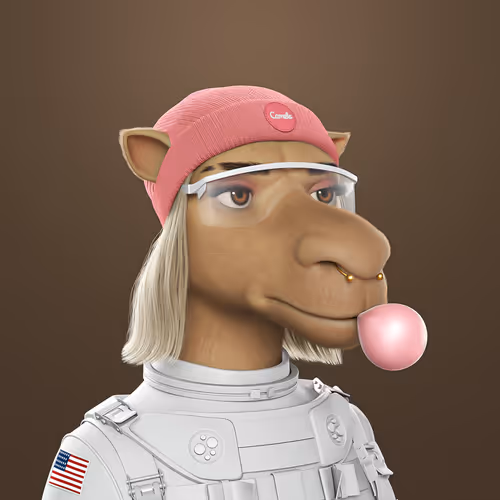 3dcamels
