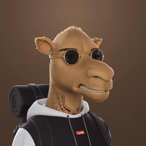 3dcamels