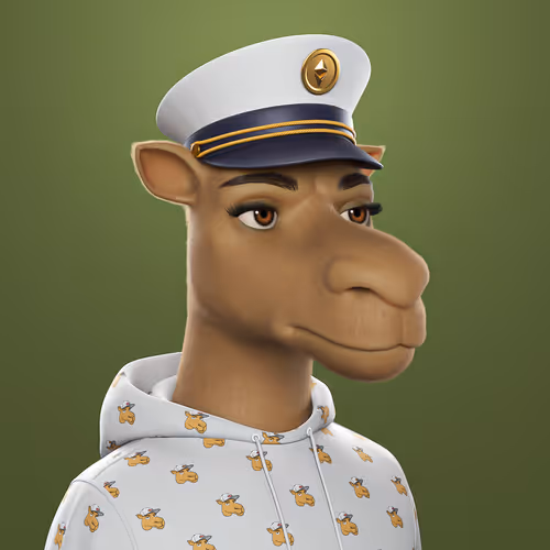 3dcamels