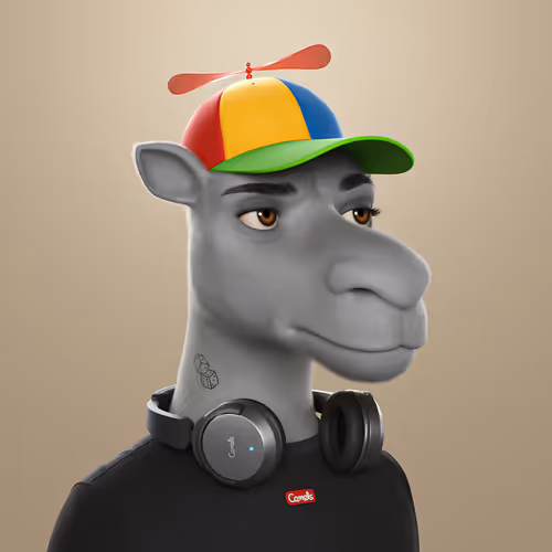 3dcamels