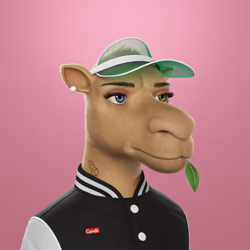 3dcamels