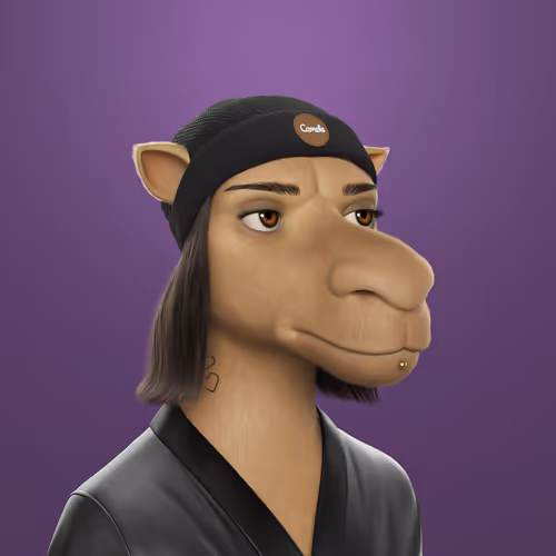 3dcamels