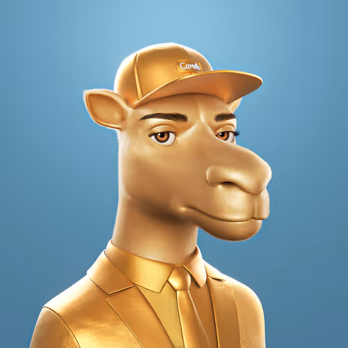 3dcamels