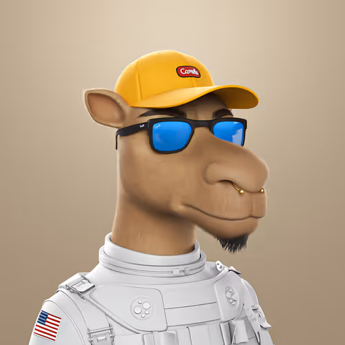 3dcamels