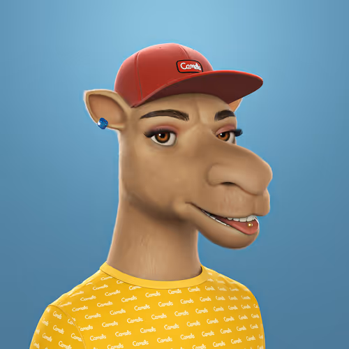 3dcamels