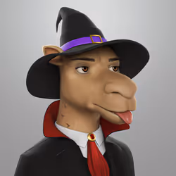 1157