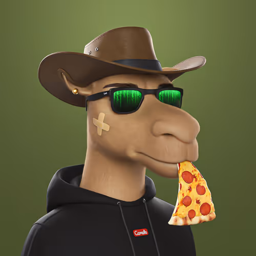 3dcamels