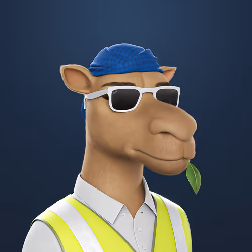 3dcamels