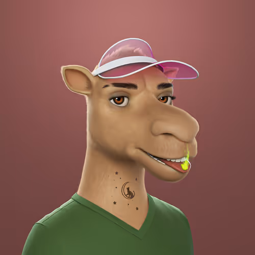 3dcamels