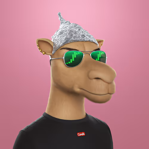 Camel 3D #2535