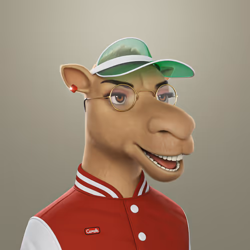 3dcamels