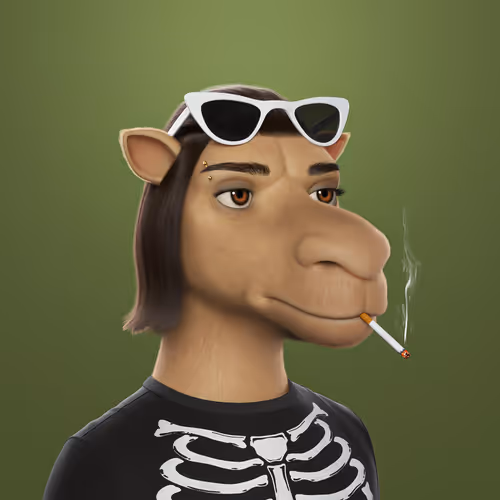 3dcamels