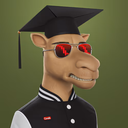 3dcamels