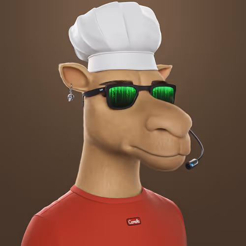 3dcamels