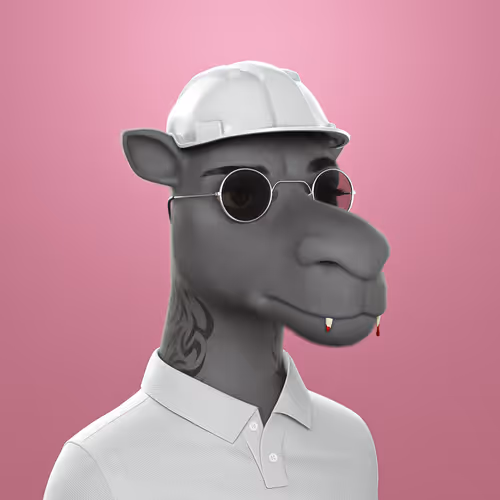 3dcamels
